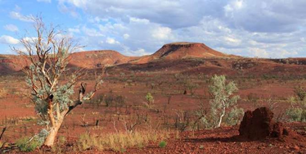 Miner reports positive results on Australian iron ore project